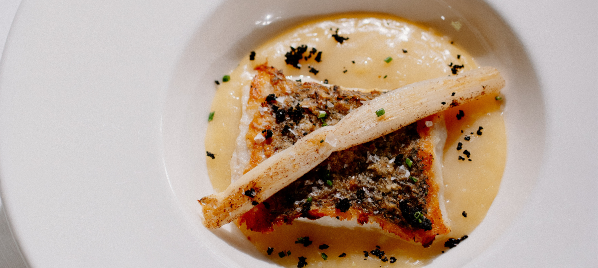 El Rincón de Vespok